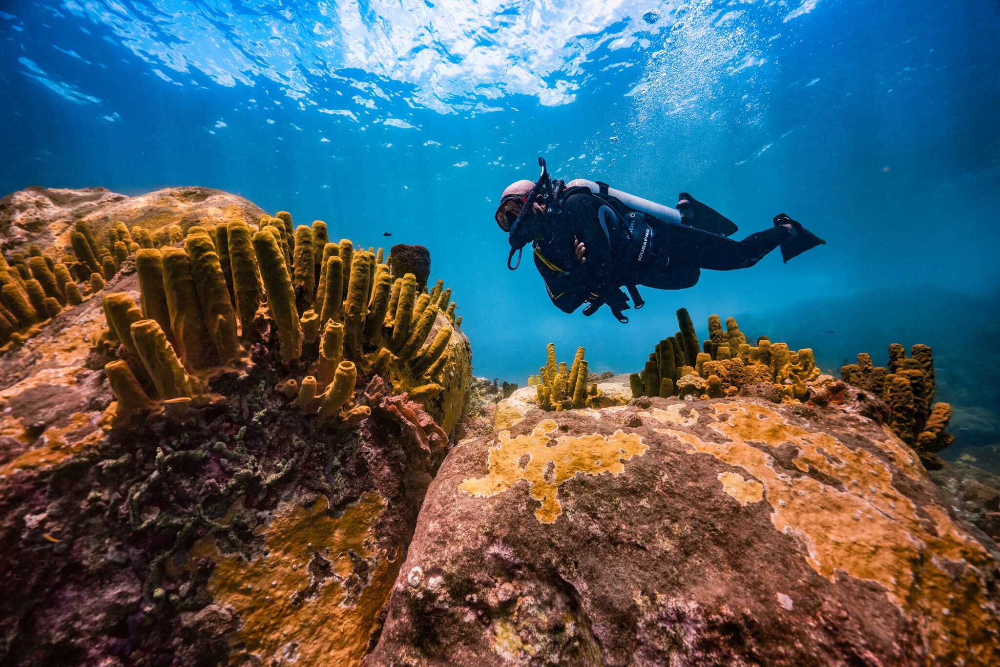 Scuba Diving & Snorkelling